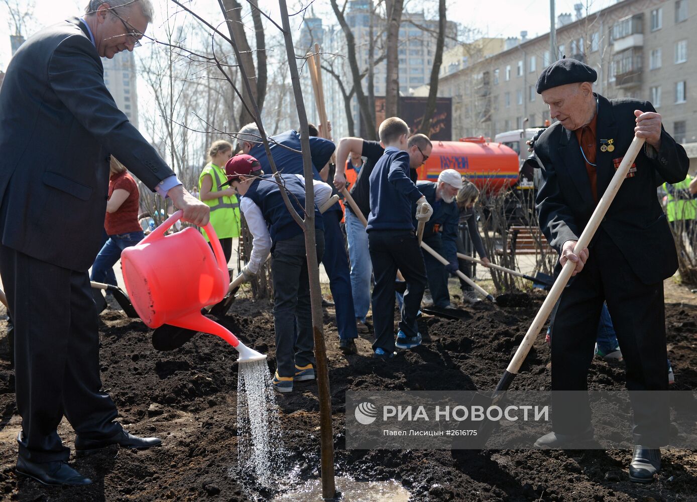 Посадка деревьев в Екатеринбурге