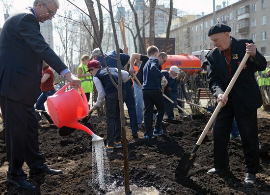 Посадка деревьев в Екатеринбурге