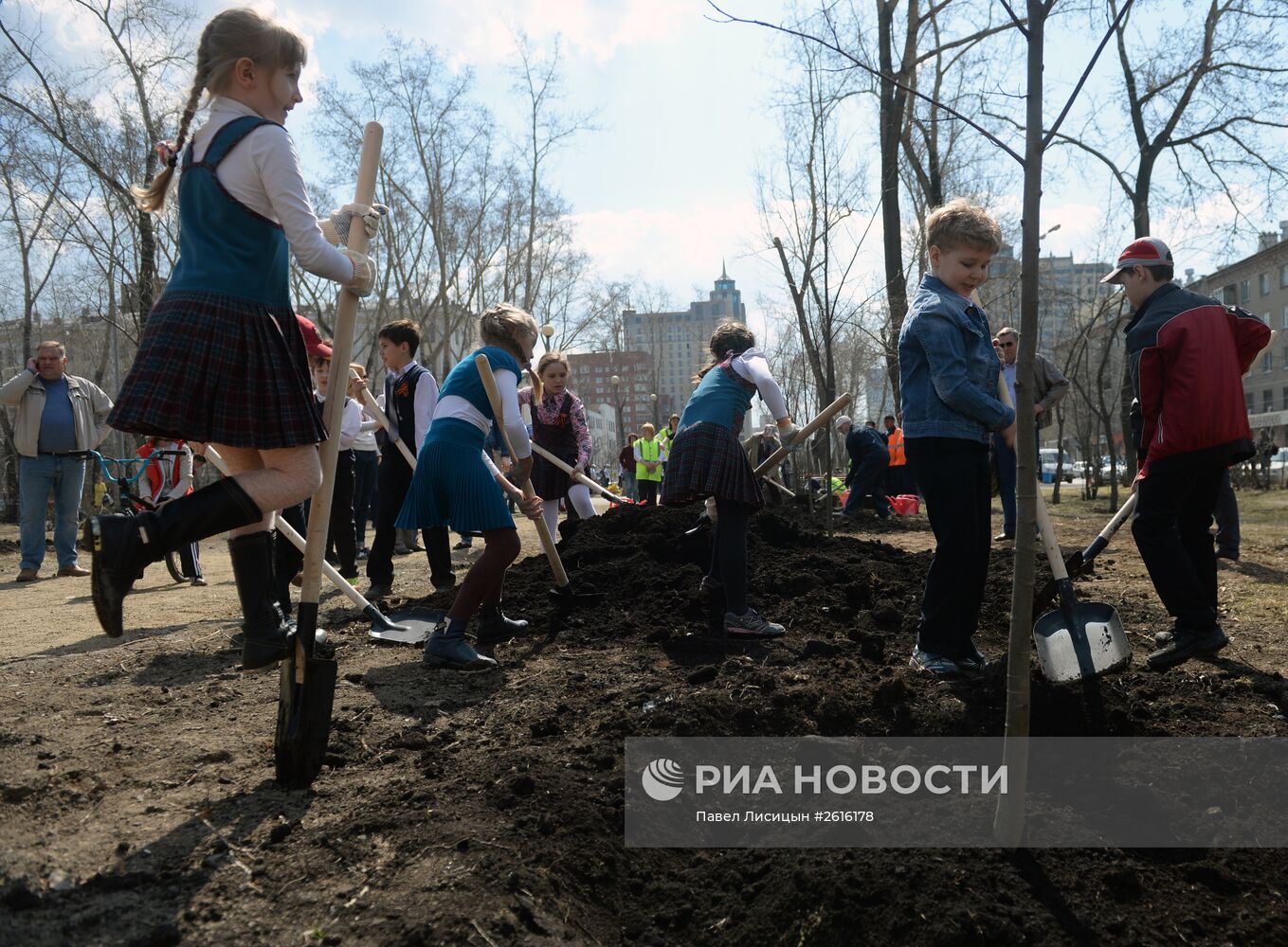 Посадка деревьев в Екатеринбурге