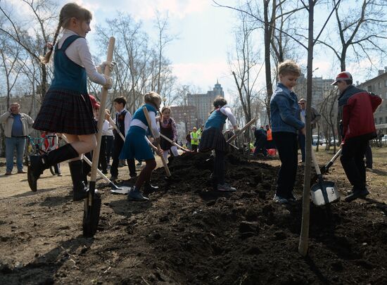 Посадка деревьев в Екатеринбурге