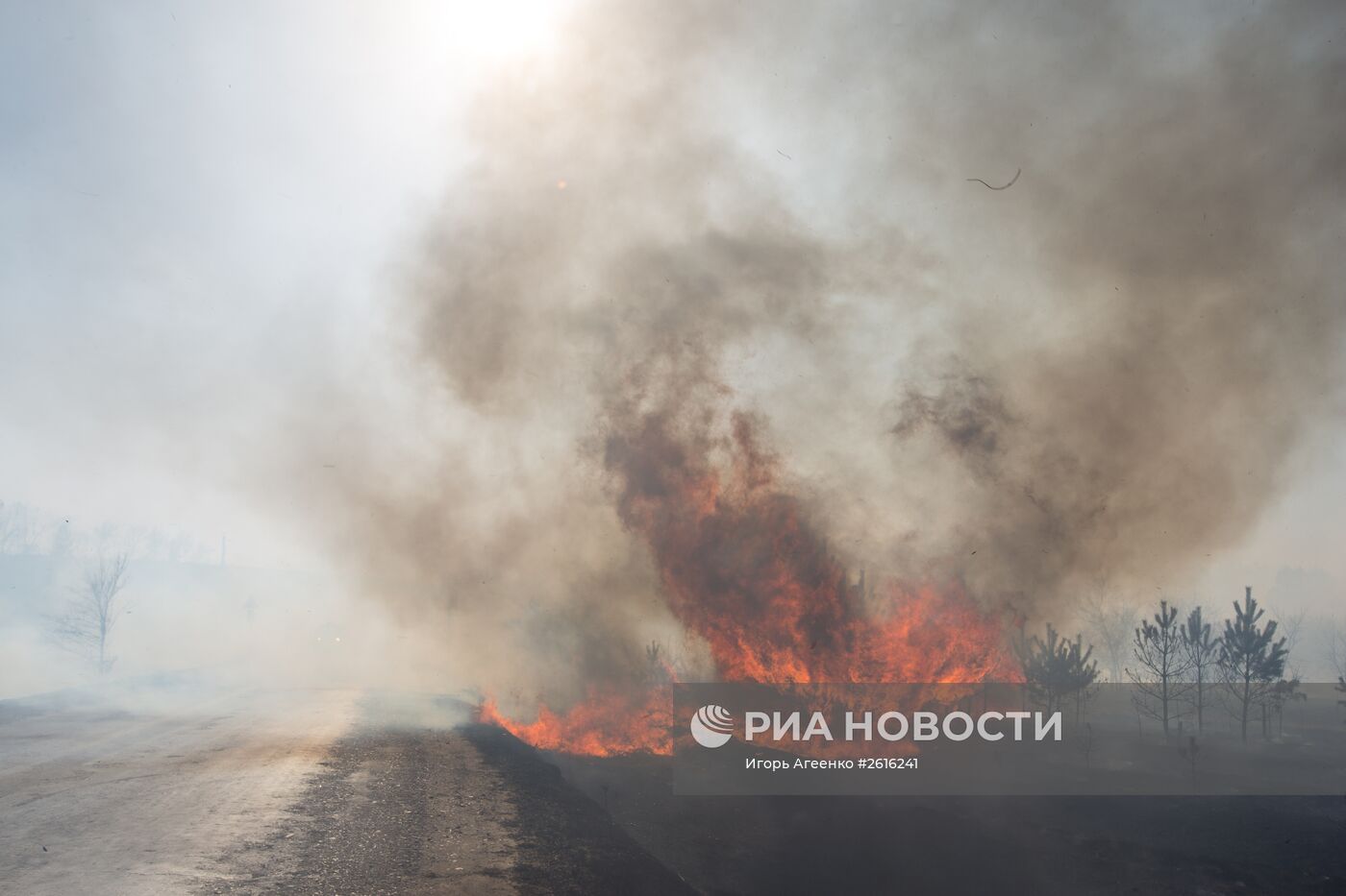 Пожары в Амурской области