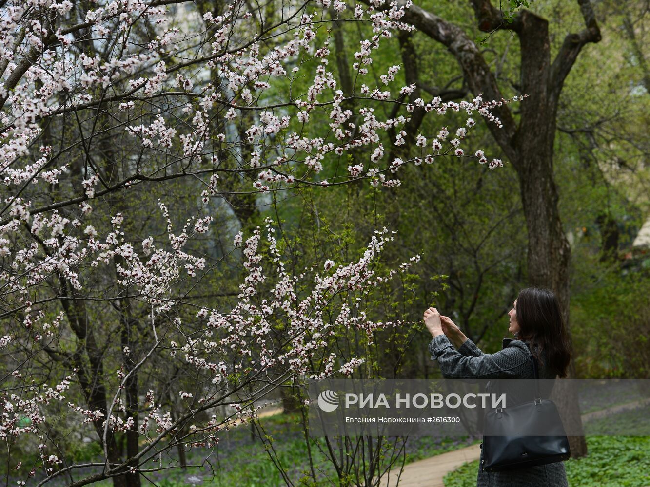 XV Весенний фестиваль цветов