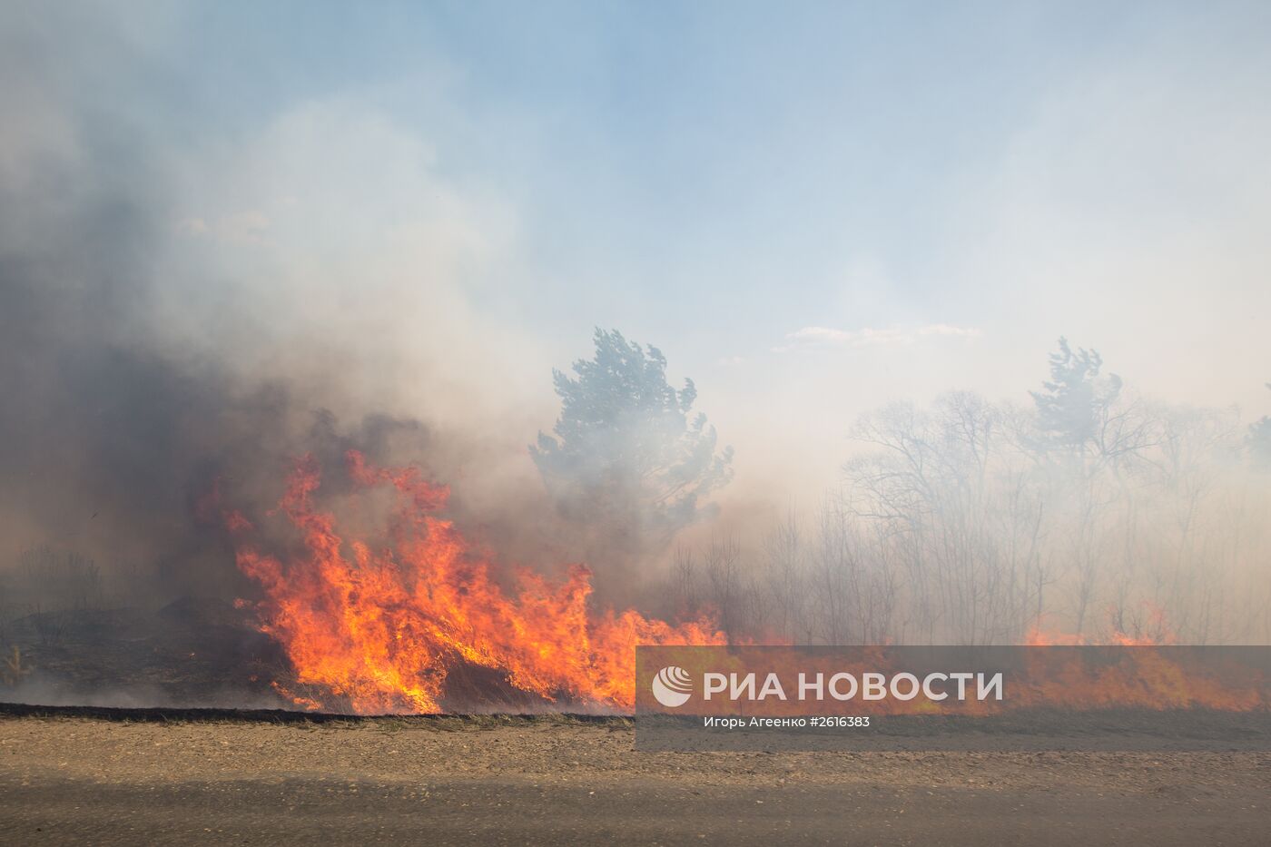 Пожары в Амурской области