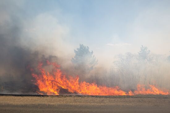 Пожары в Амурской области