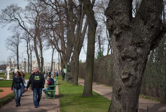 Летний сад в Санкт-Петербурге открылся для посещения