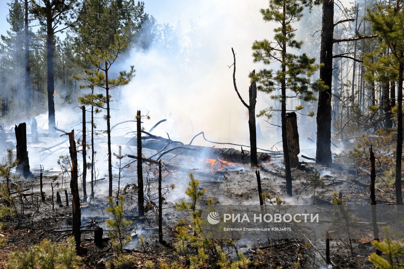 Борьба с лесными пожарами в Забайкальском крае