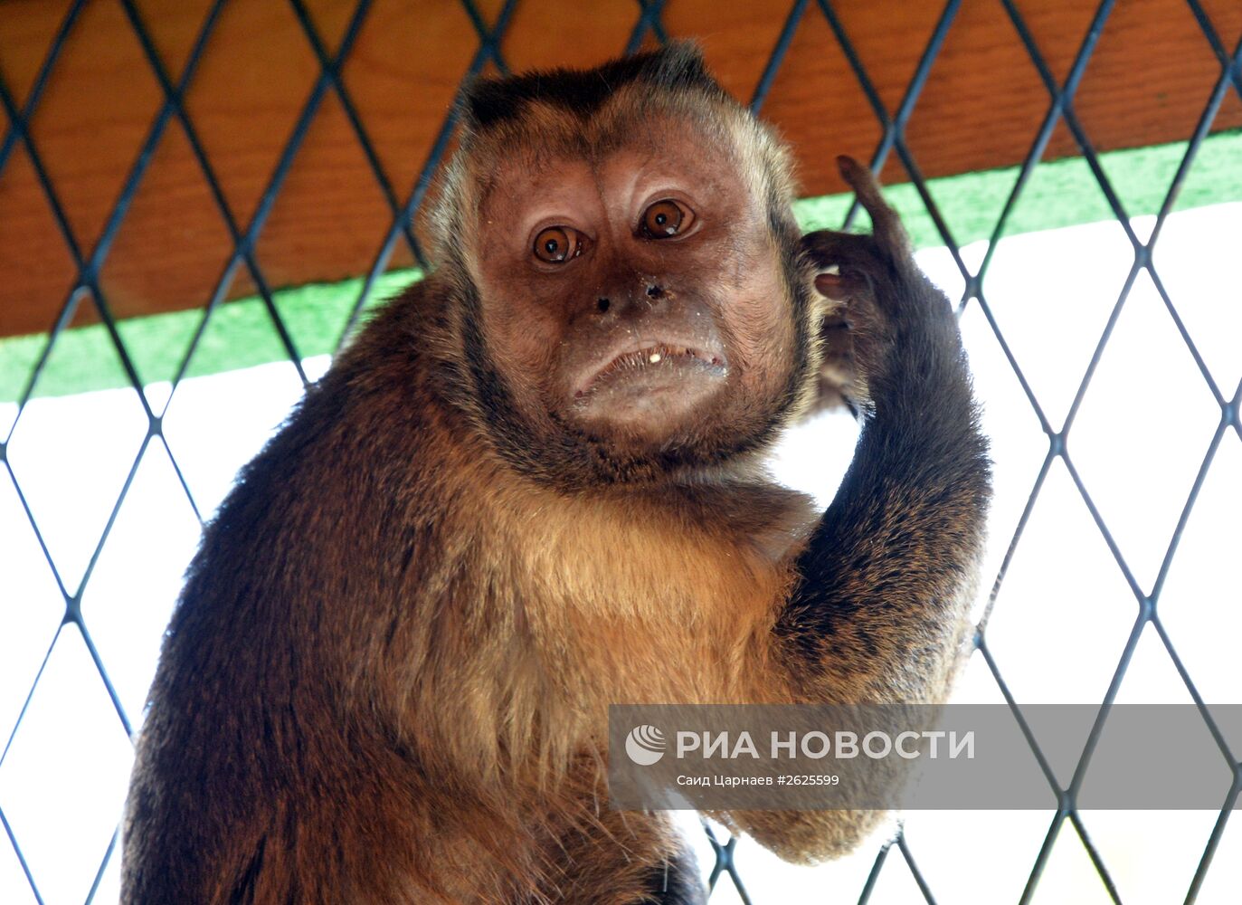 Зоопарк в Грозном