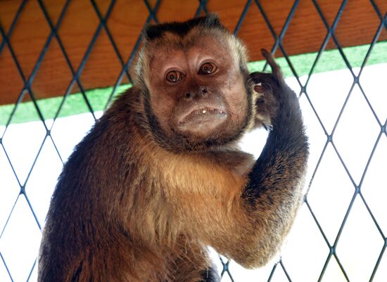 Зоопарк в Грозном