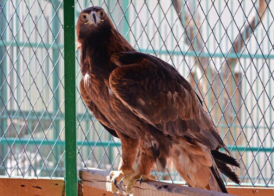 Зоопарк в Грозном