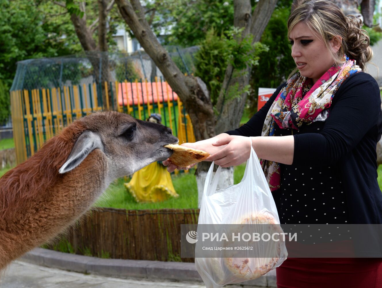 Зоопарк в Грозном