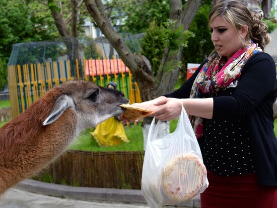 Зоопарк в Грозном