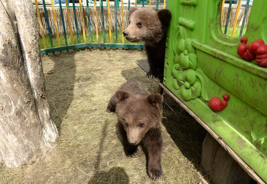 Зоопарк в Грозном