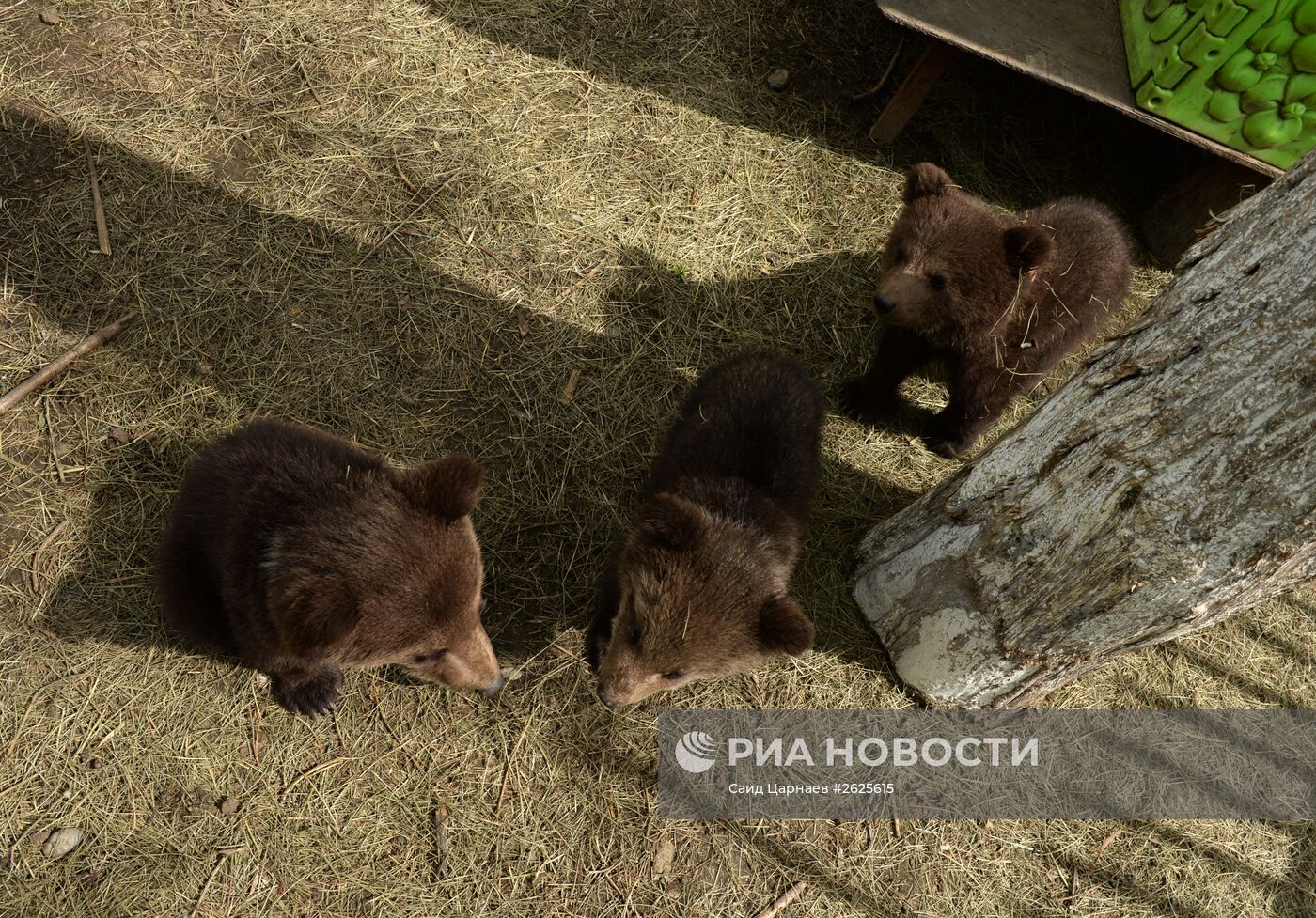 Зоопарк в Грозном