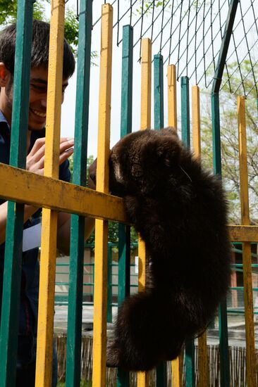 Зоопарк в Грозном