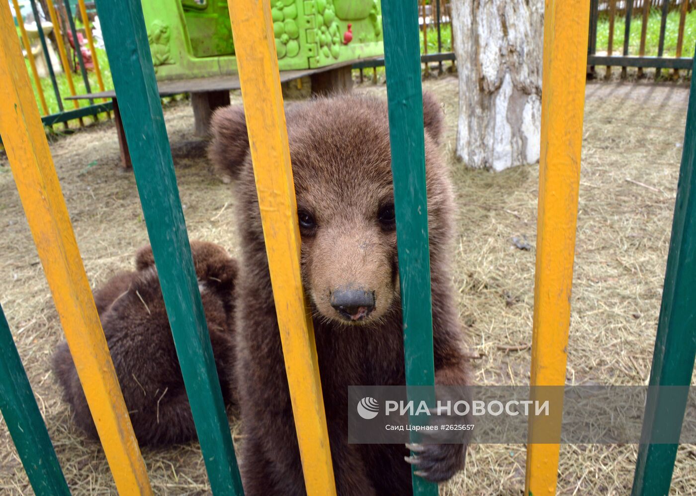 Зоопарк в Грозном