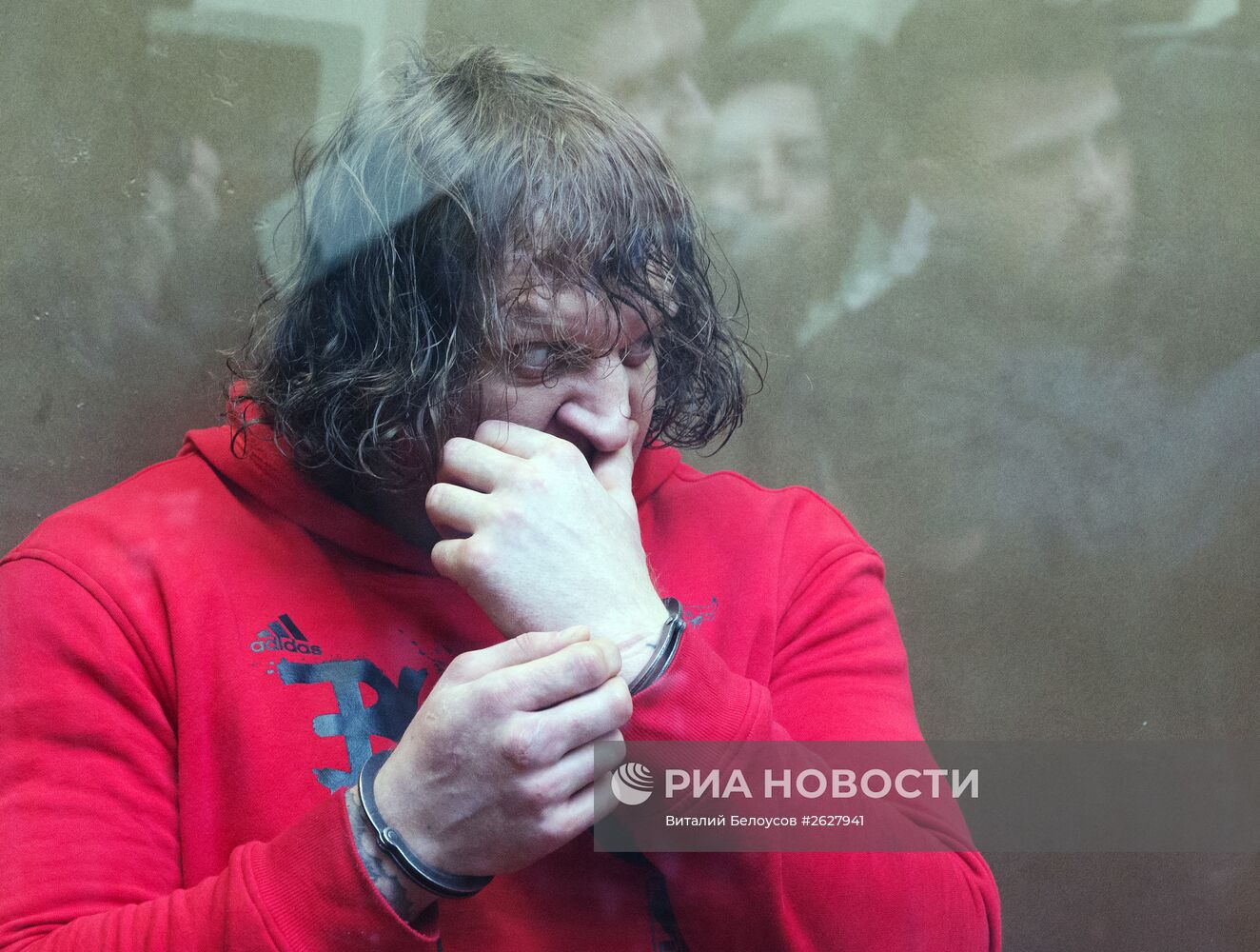 Александр Емельяненко приговорен к 4,5 годам колонии