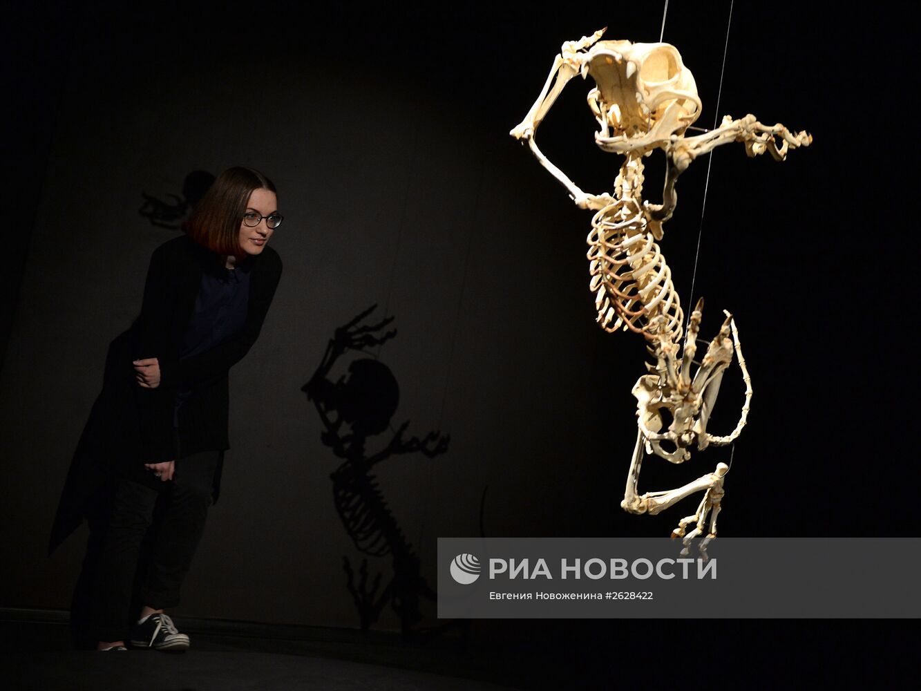 Открытие выставки Animatus в Москве