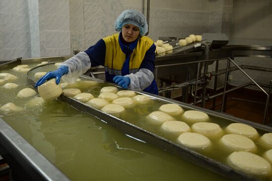 Производство сыра "Ламбер" на Рубцовском молочном заводе в Алтайском крае
