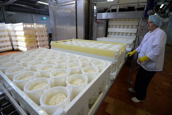 Производство сыра "Ламбер" на Рубцовском молочном заводе в Алтайском крае
