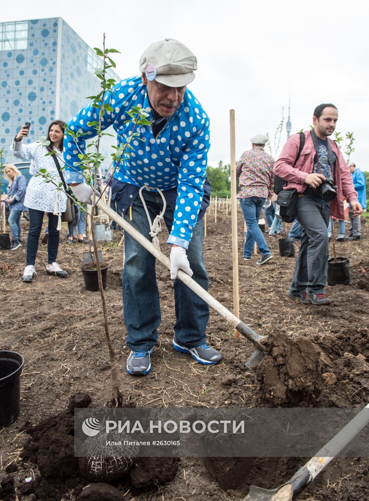 Посадка деревьев в рамках фестиваля "Черешневый лес" в Москве