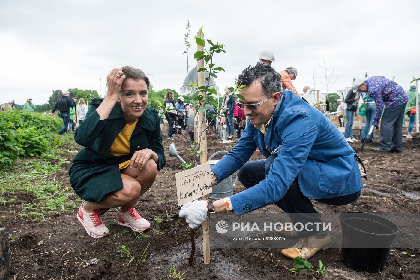 Посадка деревьев в рамках фестиваля "Черешневый лес" в Москве
