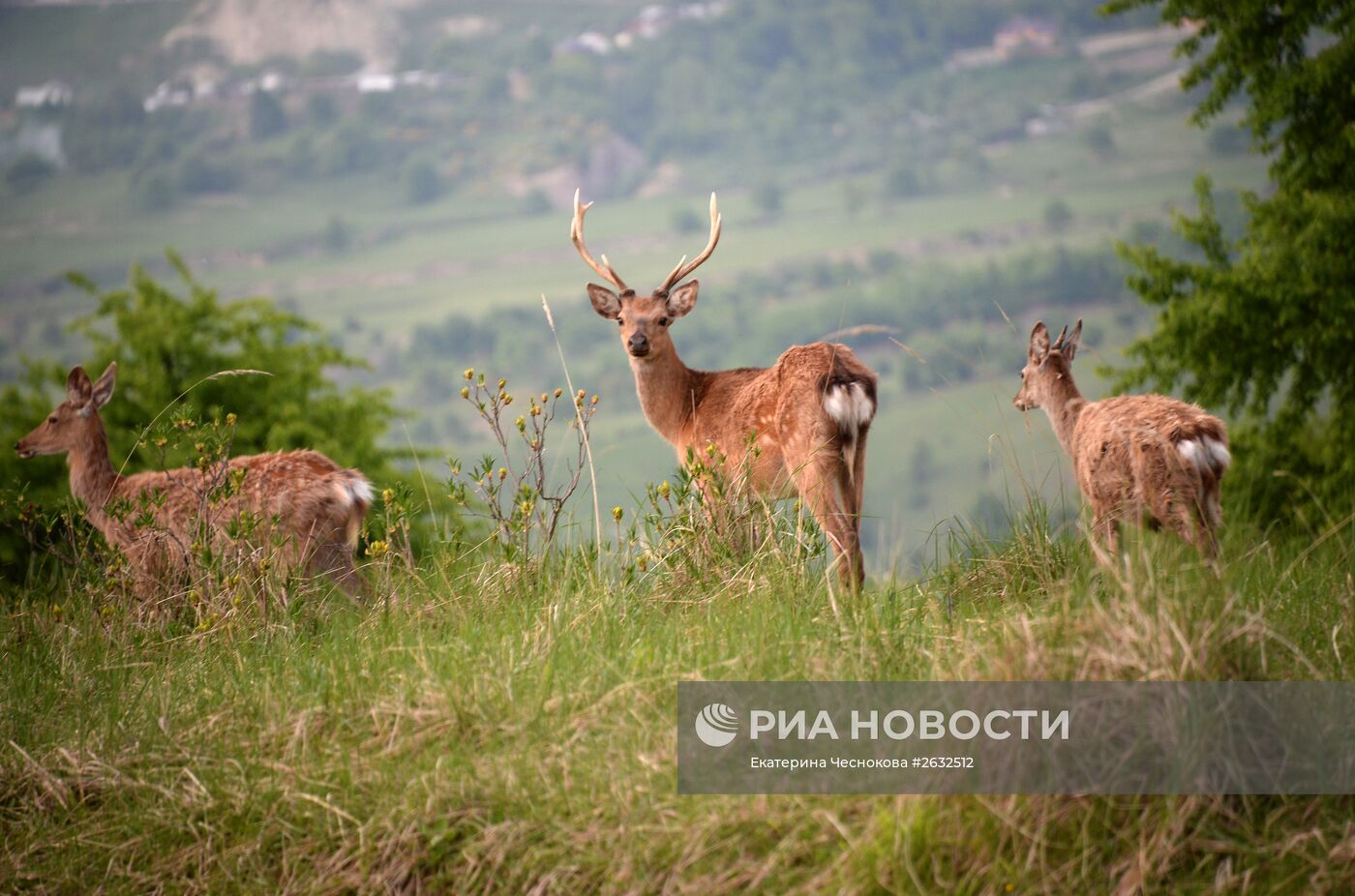 Виды Дагестана