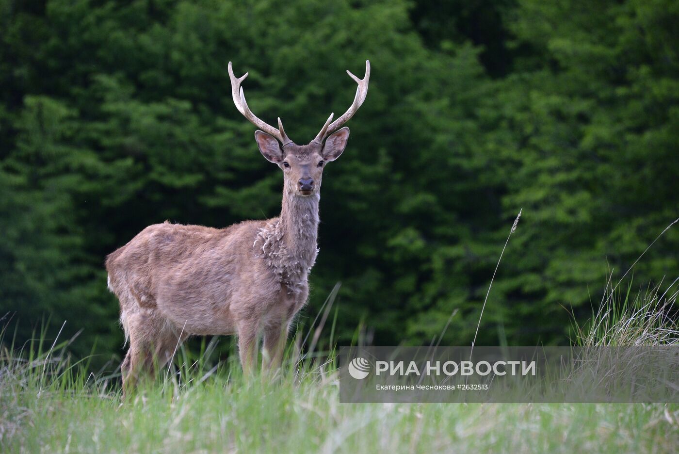Виды Дагестана