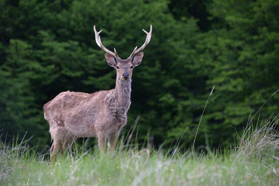 Виды Дагестана