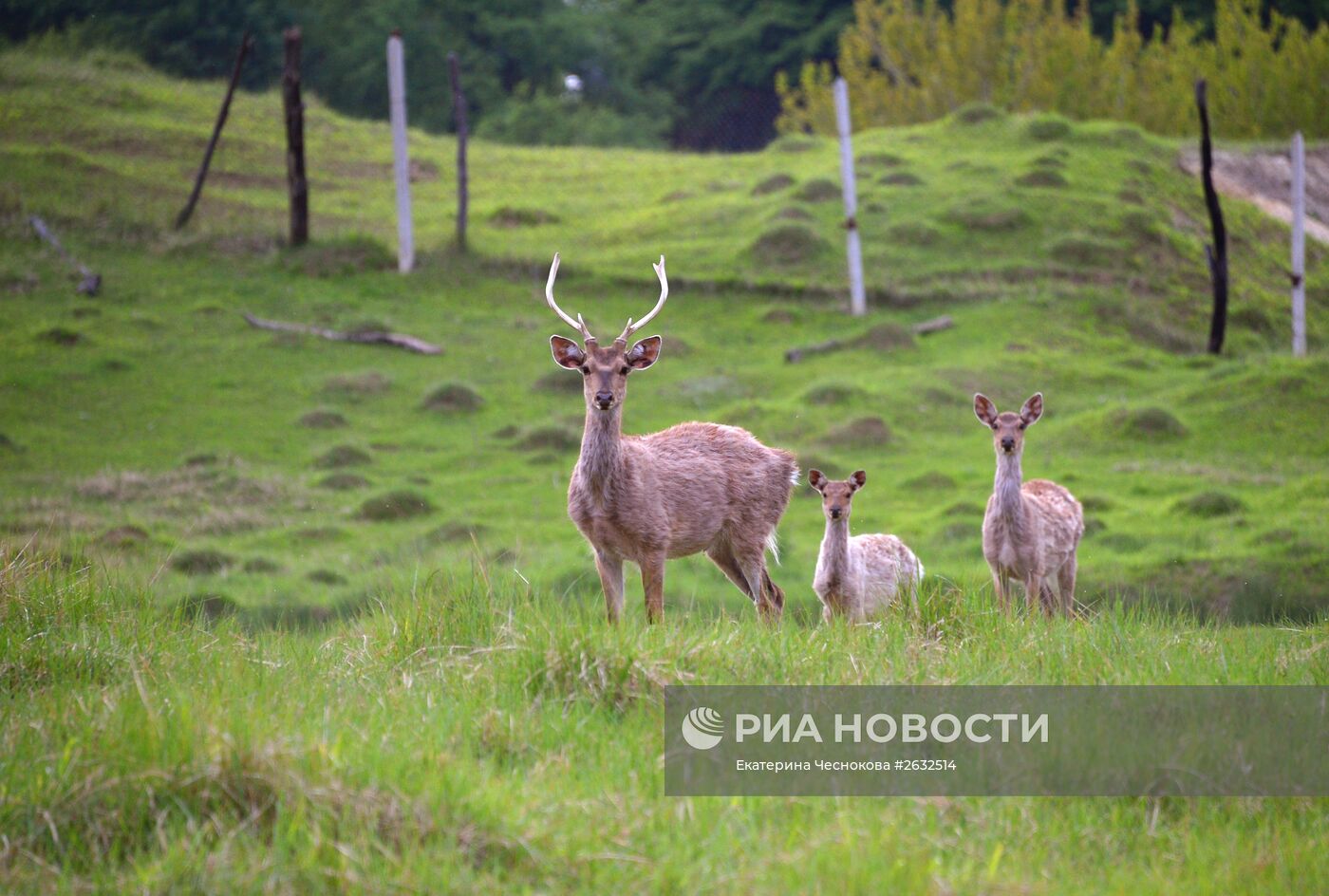 Виды Дагестана