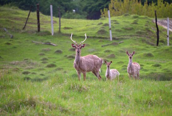 Виды Дагестана