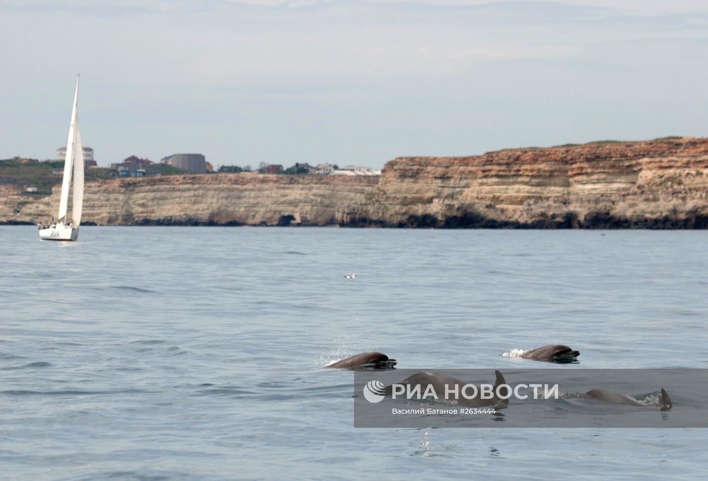 Парусная регата "Морское перо" в Севастополе