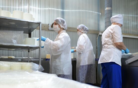 Производство сыра на предприятии "Молочная благодать" в Свердловской области