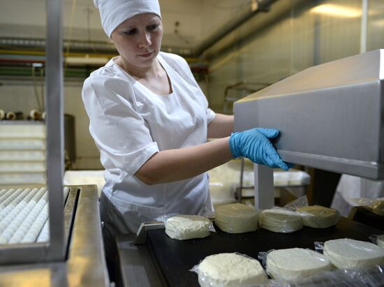 Производство сыра на предприятии "Молочная благодать" в Свердловской области