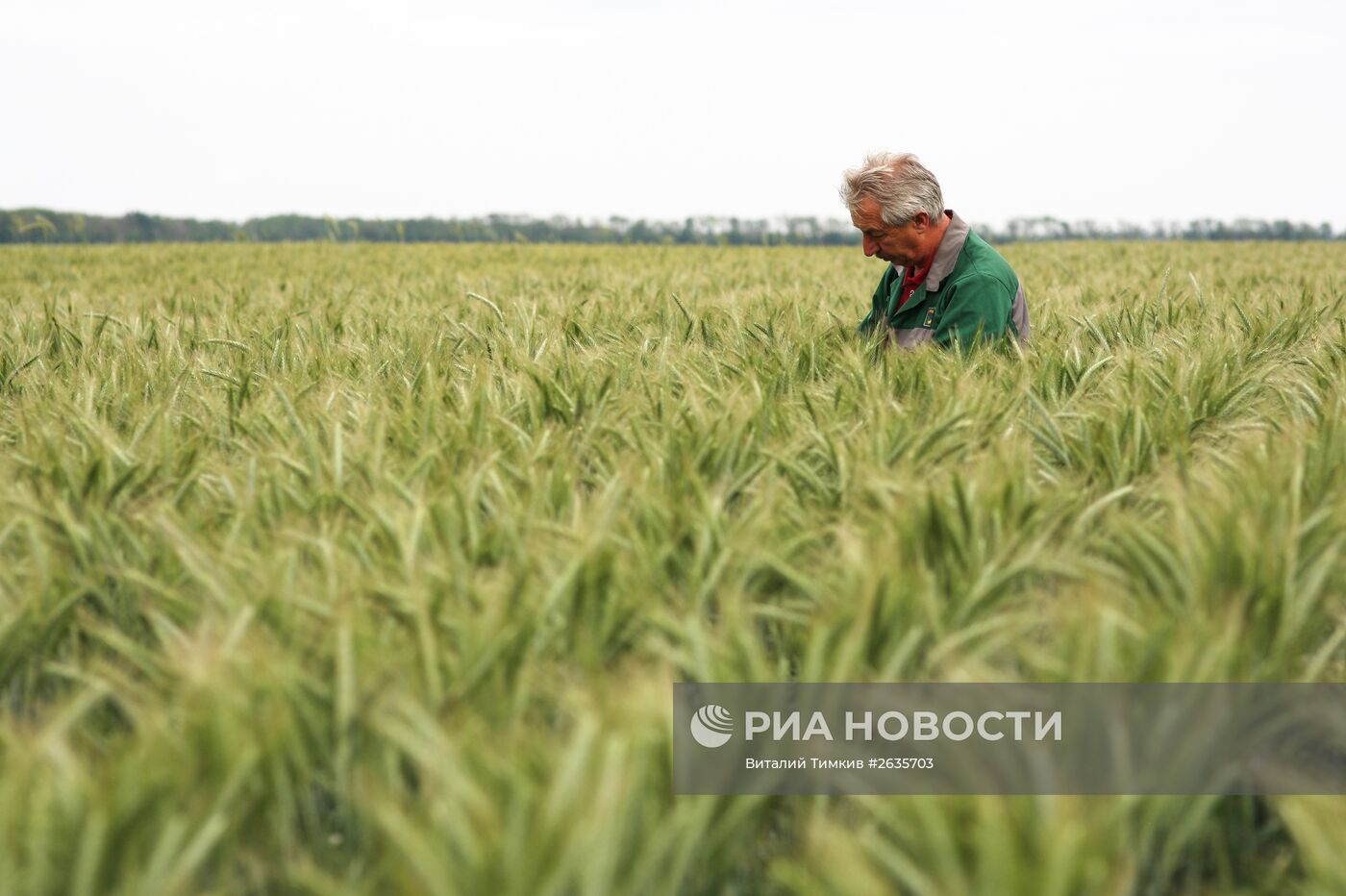 Агрохолдинг "Кубань"