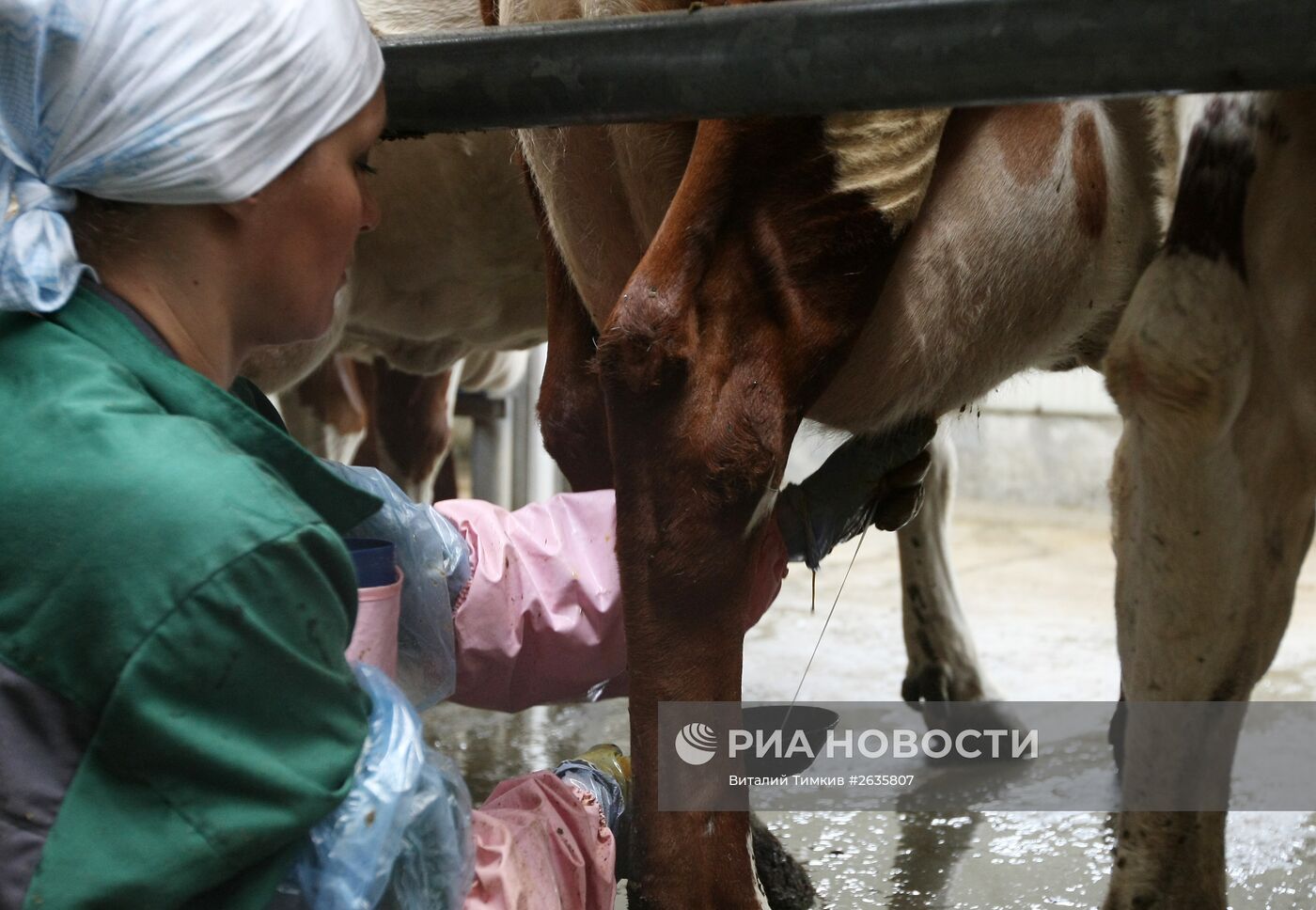 Агрохолдинг "Кубань"