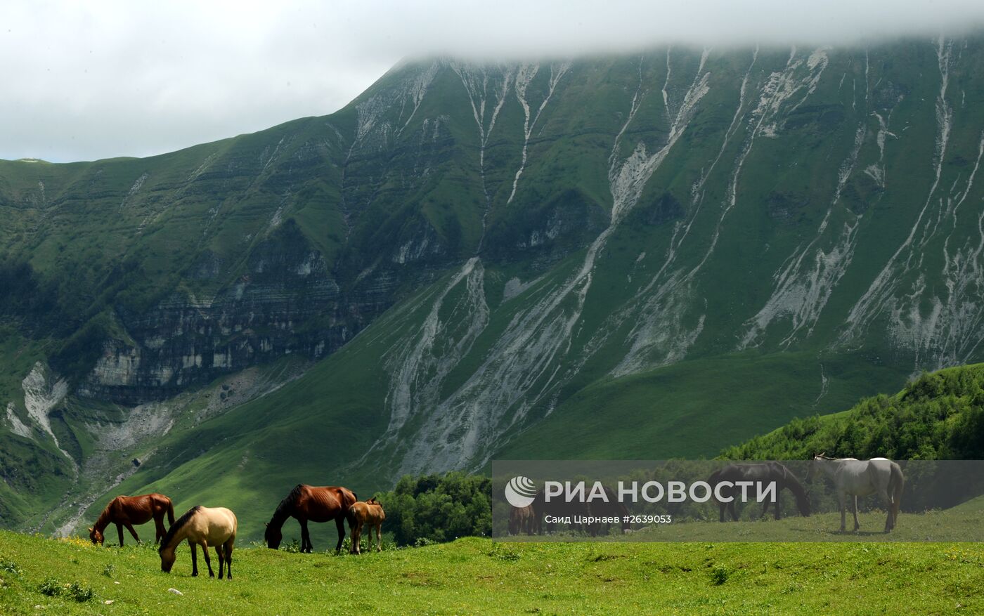 Горные районы Чеченской Республики