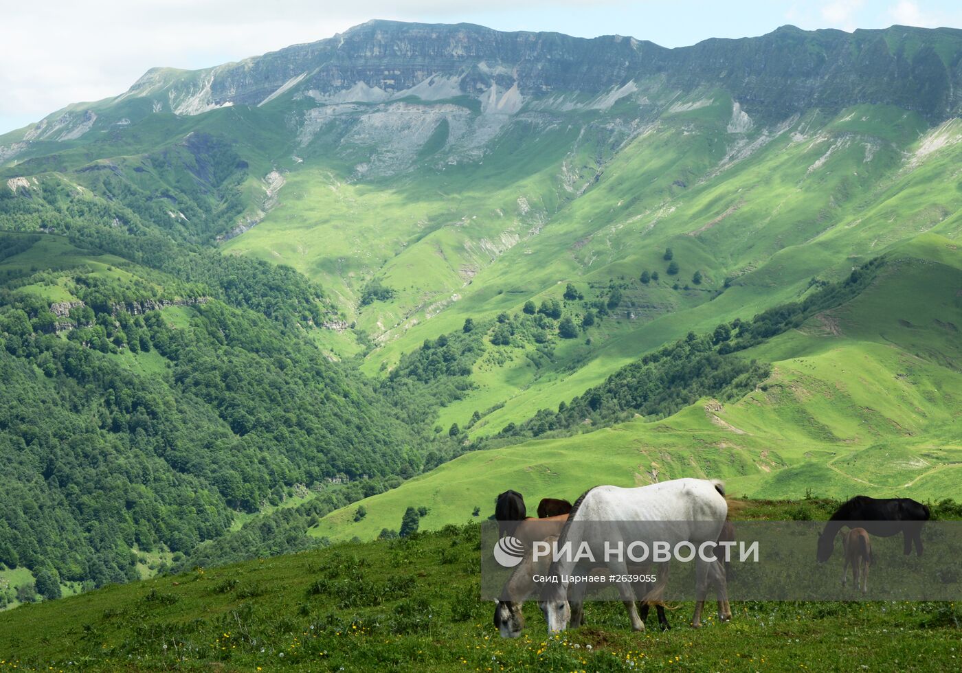 Горные районы Чеченской Республики