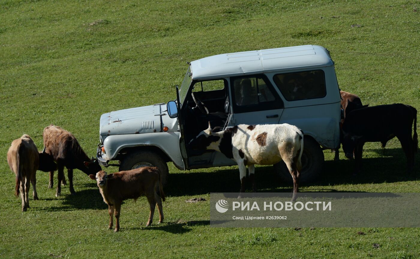 Горные районы Чеченской Республики