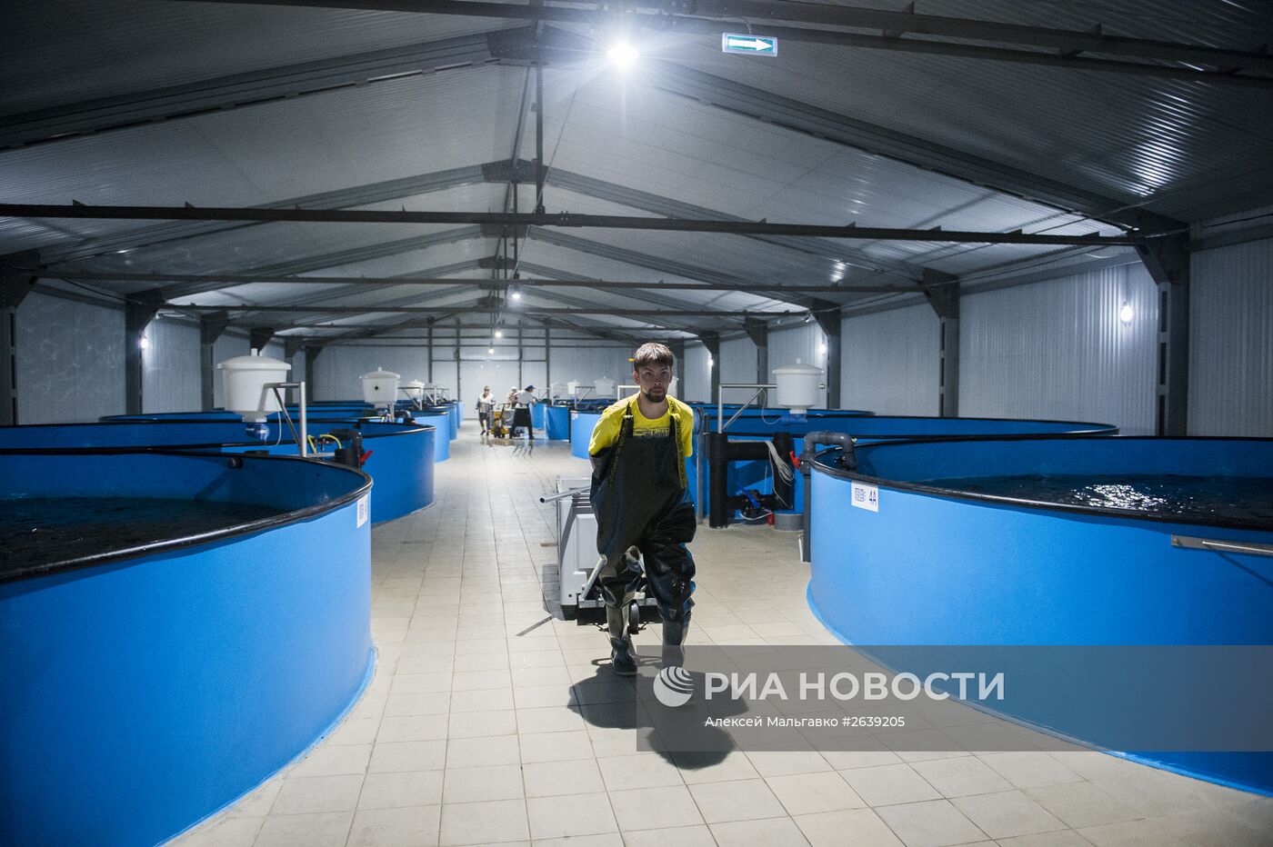 Рыбоводное хозяйство "Бородино" в Омской области