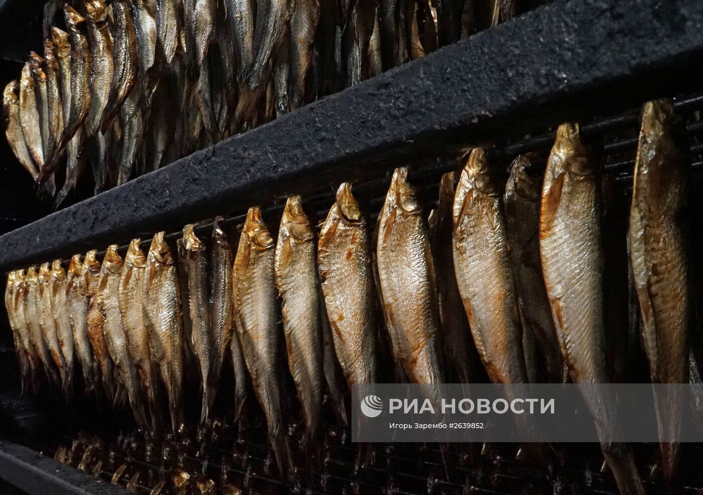 Рыбокомбинат "За Родину" в Калининградской области