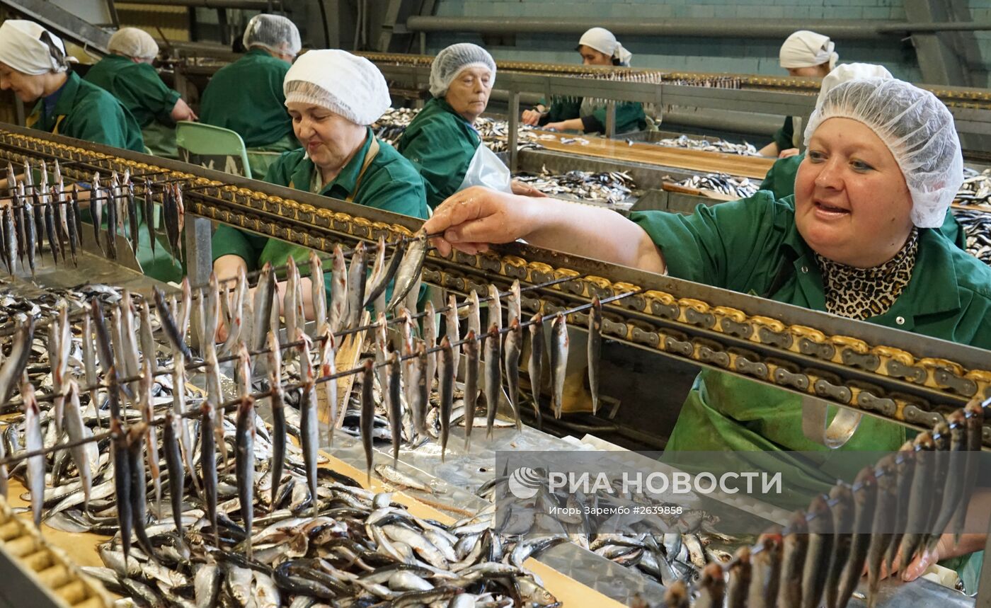 Рыбокомбинат "За Родину" в Калининградской области