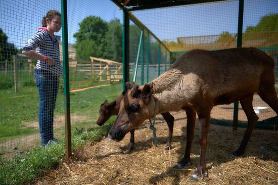 Центр реабилитации диких животных "Велес" в Санкт-Петербурге