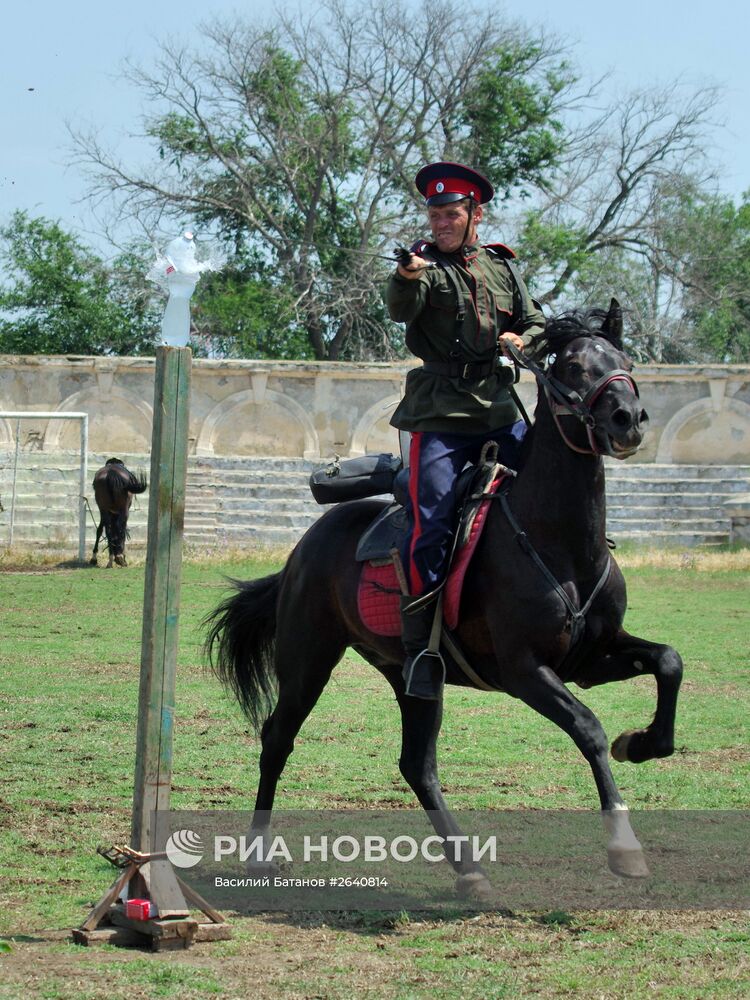 Завершение конного перехода казаков юга России в Севастополе