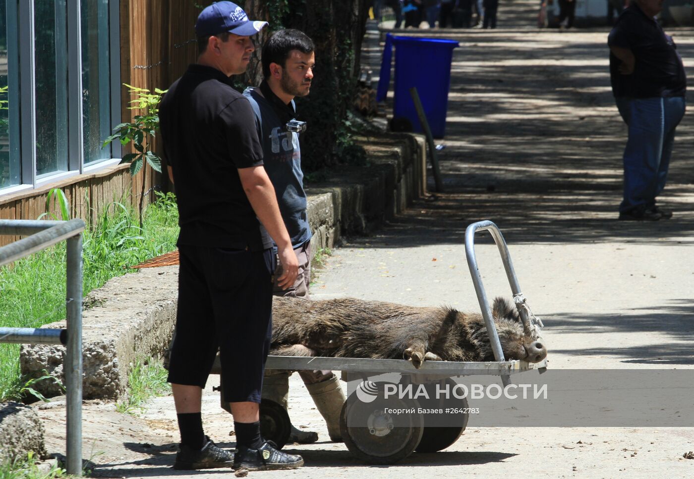 Последствия наводнения в Тбилиси