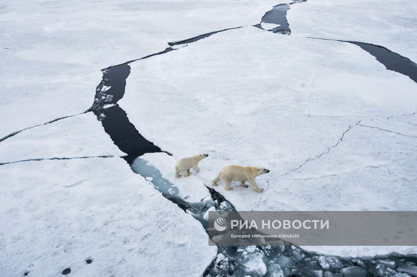 Арктическая экспедиция "Кара-зима 2015"