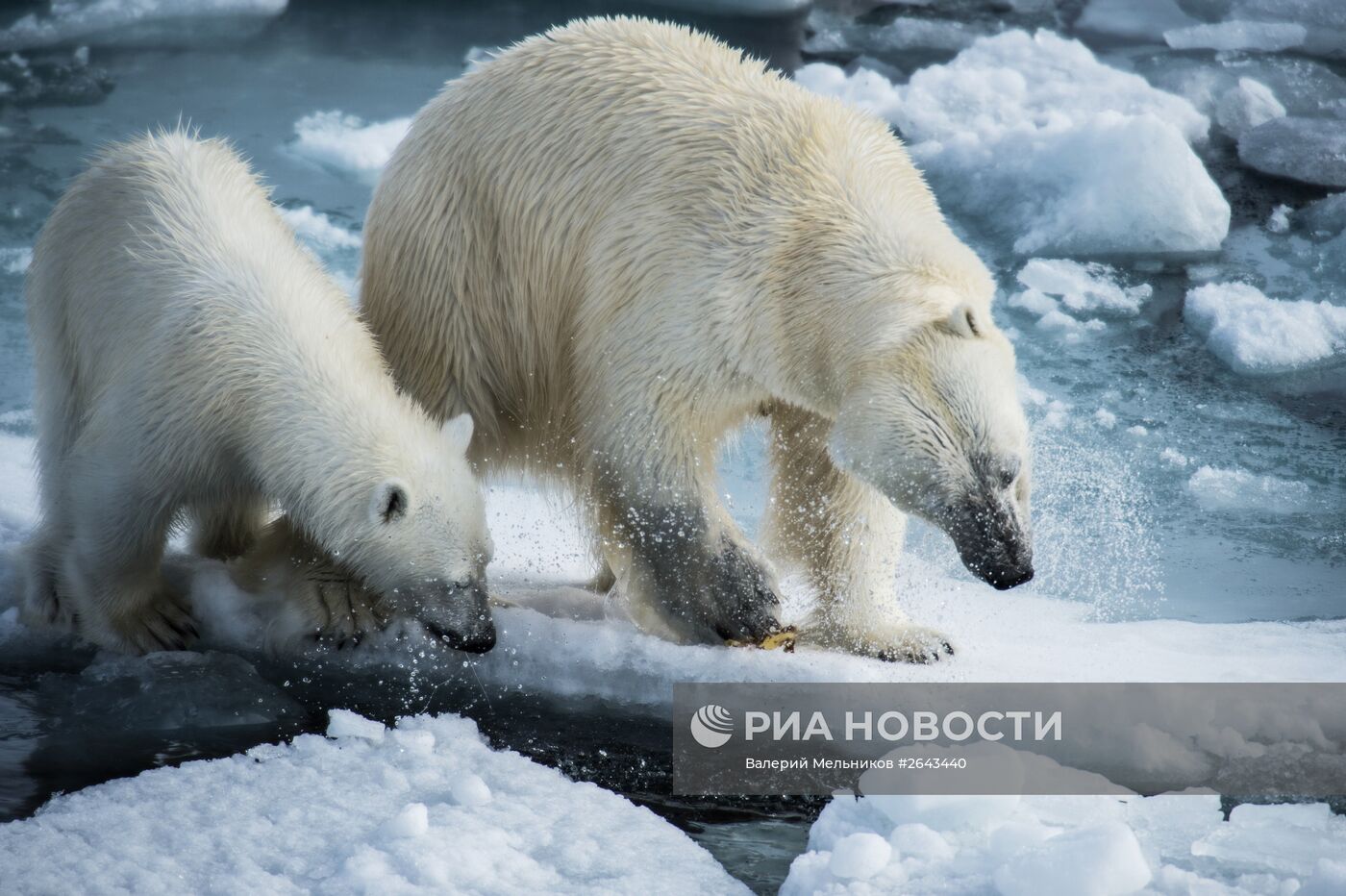 Арктическая экспедиция "Кара-зима 2015"