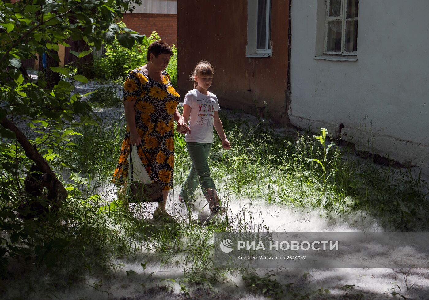 Тополиный пух в Омске | РИА Новости Медиабанк