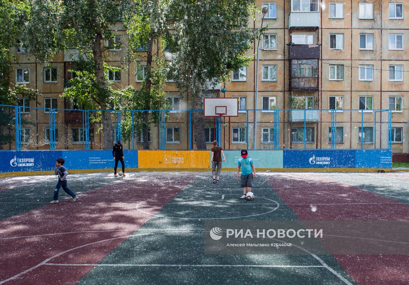 Тополиный пух в Омске