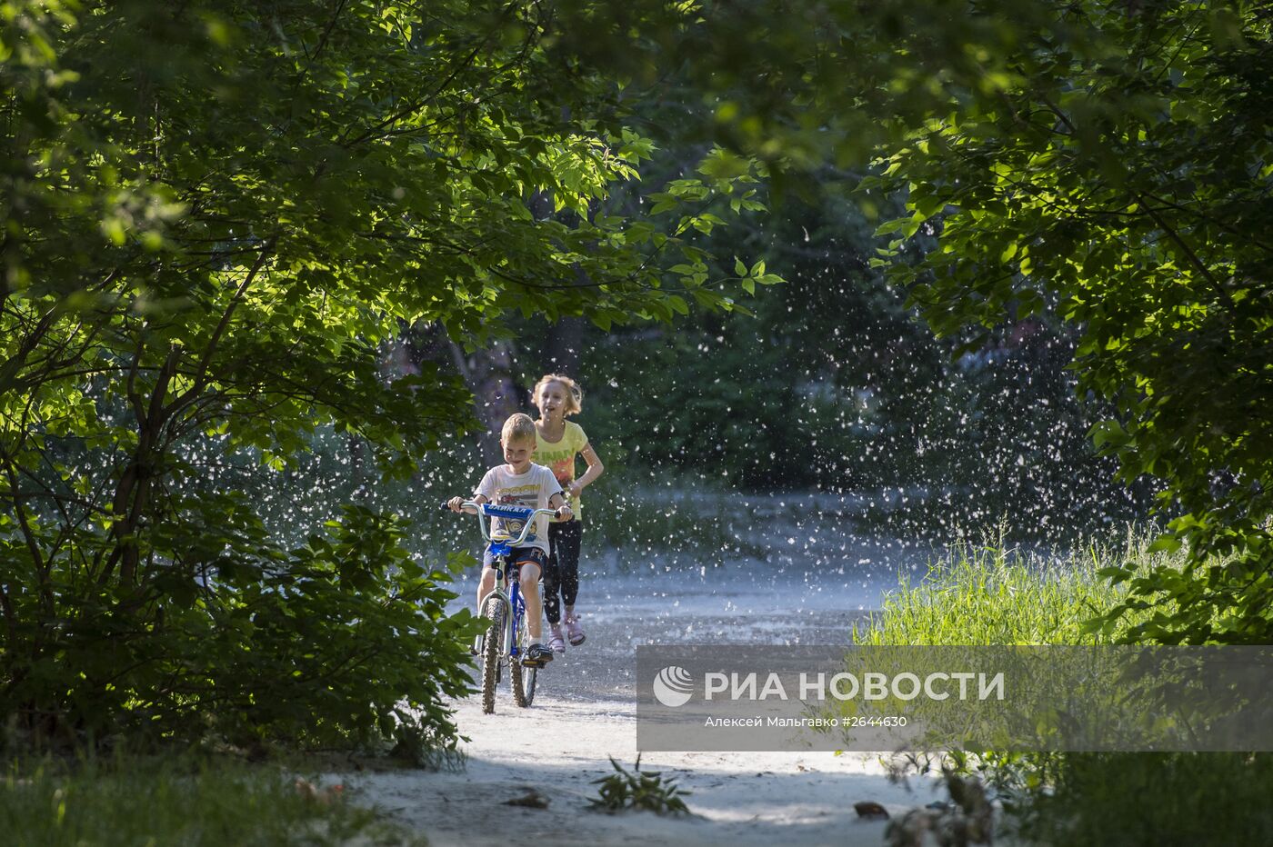 Тополиный пух в Омске