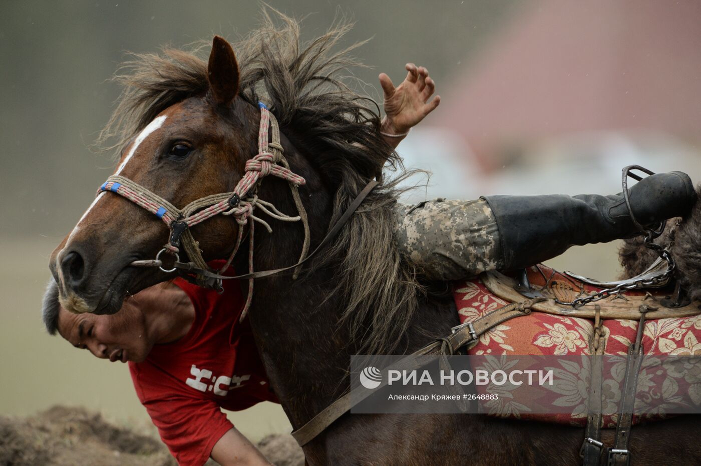 Соревнования по кок бору, в рамках празднования 150-летия единения теленгитов с Россией